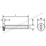 Zylinderkopf- Sicherheitsschrauben für Zweilochantrieb, Art. 9101