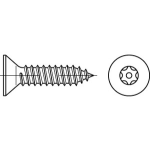 Diebstahlhemmende Senkkopfschrauben DIN 7982 ISR (~Torx) mit Pin mit Blechgewinde