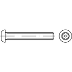 Diebstahlhemmende Flachkopfschrauben (~ISO 7380) ISR (~Torx) mit Pin mit metrischem Gewinde