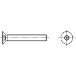 Diebstahlhemmende Senkkopfschrauben (~ISO 10642) ISK (~Inbus) mit metrischen Gewinde