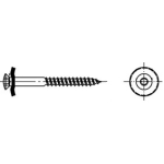 Spenglerschraube 2/3 tlg. ISR (TX 20, VE= 100) mit Dichtscheibe 15 mm und Spitze