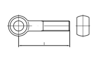 DIN 444 A 2 Form B Augenschrauben, Produktklasse B (mg) - Abmessung: BM 5 x 40, Inhalt: 10 Stück