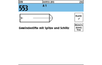 DIN 553 A 1 Gewindestifte mit Spitze und Schlitz - Abmessung: M 2,5 x 6, Inhalt: 50 Stück