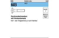 DIN 603 A 2 Flachrundschrauben mit Vierkantansatz - Abmessung: M 5 x 20, Inhalt: 100 Stück