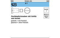DIN 923 A 1 Flachkopfschrauben mit Schlitz und Ansatz - Abmessung: M 3 x 4 x 4,5, Inhalt: 100 Stück