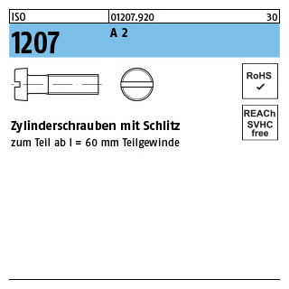 ISO 1207 A 2 Zylinderschrauben mit Schlitz - Abmessung: M 1 x 2, Inhalt: 2000 Stück