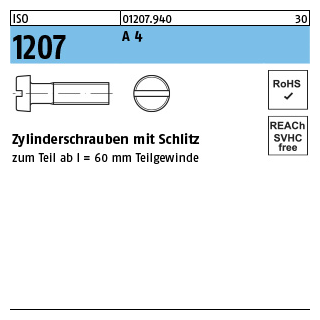 ISO 1207 A 4 Zylinderschrauben mit Schlitz - Abmessung: M 2 x 8, Inhalt: 1000 Stück