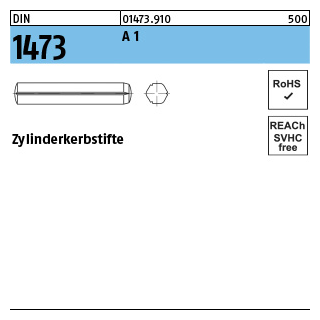 DIN 1473 A 1 Zylinderkerbstifte - Abmessung: 5 x 24, Inhalt: 100 Stück