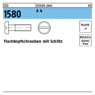 ISO 1580 A 4 Flachkopfschrauben mit Schlitz - Abmessung: M 2 x 3, Inhalt: 1000 Stück