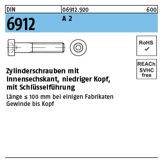 DIN 6912 A 2 Zylinderschrauben mit Innensechskant, niedriger Kopf, mit Schlüsselführung - Abmessung: M 6 x 14, Inhalt: 100 Stück