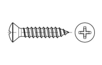 DIN 7983 A 2 Form C-H Linsensenk-Blechschrauben mit Spitze, mit Phillips-Kreuzschlitz H - Abmessung: C 2,9 x 13 -H, Inhalt: 1000 Stück