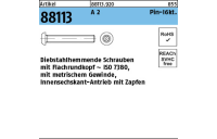 Artikel 88113 A 2 Pin-I6kt. Diebstahlhemmende Schrauben m. Flachkopf ~ ISO 7380, mit ISK und Zapfen - Abmessung: M 3 x 8, Inhalt: 100 Stück