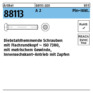 Artikel 88113 A 2 Pin-I6kt. Diebstahlhemmende Schrauben m. Flachkopf ~ ISO 7380, mit ISK und Zapfen - Abmessung: M 4 x 12, Inhalt: 100 Stück