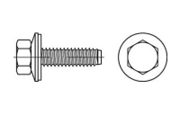 Artikel 88276 A 2 Form BZ Fassadenschrauben mit montierter Dichtscheibe mit Zapfen - Abmessung: BZ 6,3 x 175, Inhalt: 100 Stück