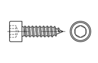Artikel 88312 A 2 Form C Zylinder-Blechschrauben mit Innensechskant mit Spitze - Abmessung: C 4,8 x 13, Inhalt: 200 Stück