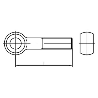 DIN 444 A4 Form B Augenschrauben, Produktklasse B (mg) - Abmessung: BM 24 x 100, Inhalt:  10 Stück