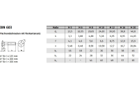 DIN 603 A2 Vollgewinde Flachrundschrauben mit Vierkantansatz - Abmessung: M 12 x 80/80, VE mit 50 Stück