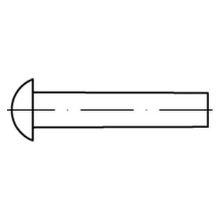 DIN 660 A2 Halbrundniete - Abmessung: M 6 x 28, VE mit 100 Stück