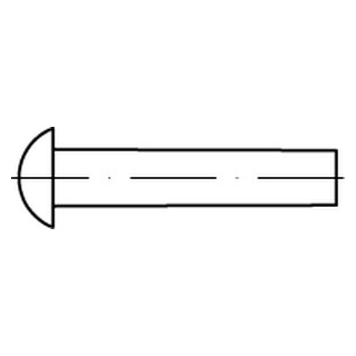 DIN 660 A4  Halbrundniete - Abmessung: M 6 x 45, Inhalt:  100 Stück