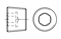 DIN 906 - Verschlußschrauben mit ISK Kegelgewinde, WHITWORTH Rohrgewinde - Edelstahl A4 - R 3/8" nach DIN 3858 - 50 Stück