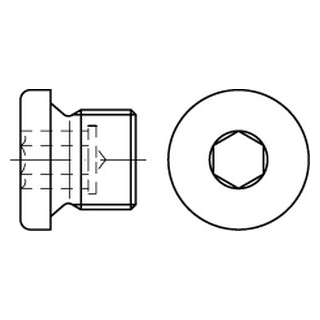 DIN 908 A2  zyl.-Fein verschlussschrauben mit Bund und Innensechskant, m. zyl. Feingewinde - Abmessung: M 30 x 1,5, Inhalt:  10 Stück