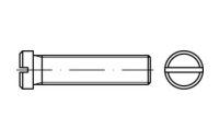 DIN 920 A2 Flachkopfschrauben mit Schlitz und kleinem Kopf - Abmessung: M 2 x 4, Inhalt:  500 Stück