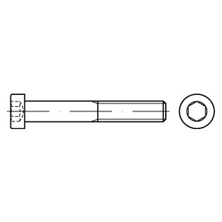 DIN 7984 A2 Zylinderschrauben mit Innensechskant, niedriger Kopf - Abmessung: M 3 x 3, Inhalt:  1000 Stück