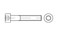 ISO 14579 A2 Zylinderschrauben mit Innensechsrund  - Abmessung: M 2 x 3, Inhalt:  500 Stück