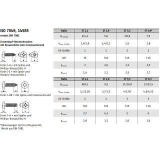 ISO 14585 A2 Form C ISR Flachkopf Blechschrauben mit Spitze, mit I
