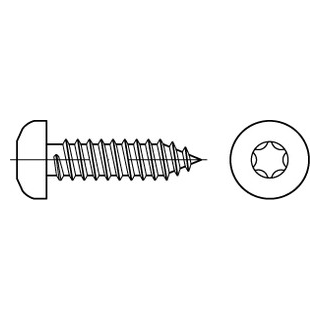 ISO 14585 A2 Form C - ISR Flachkopf- Blechschrauben mit Spitze, mit Innensechsrund - Abmessung: 3,9 x 25, Inhalt:  1000 Stück