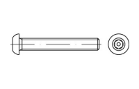 Artikel 88113 A2  Flachrundkopf-Sicherheitsschrauben mit ISK + Pin - Abmessung: 3,5 x 6 SW 2 PIN, Inhalt:  100 Stück